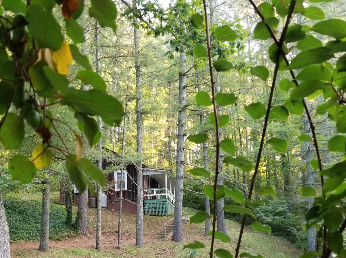 The Cabins At Healing Springs Crumpler ภายนอก รูปภาพ